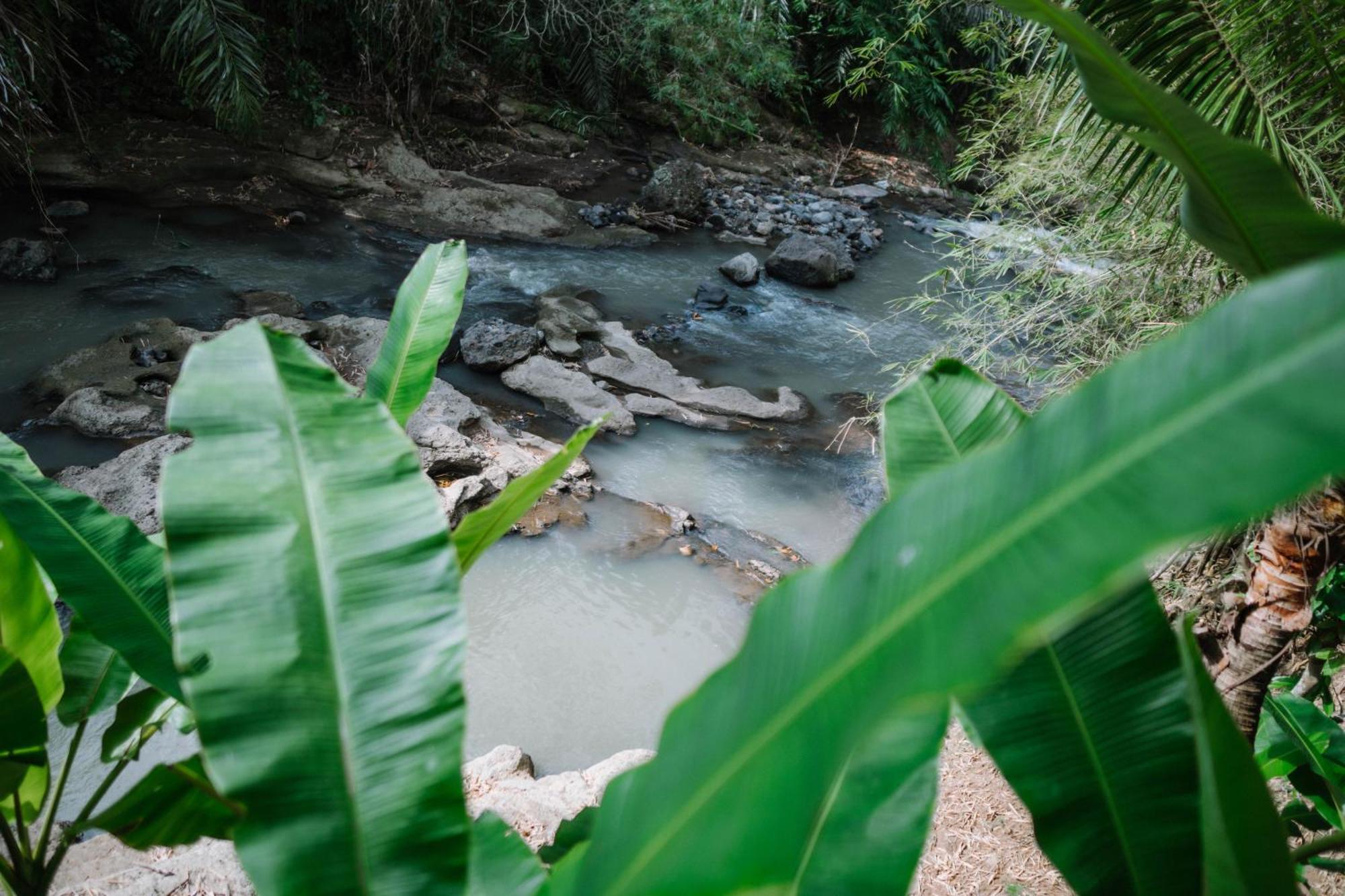 Sun Sang Eco Retreats Selemadeg